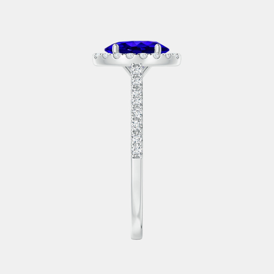 Tanzanite Halo Majesty Ring