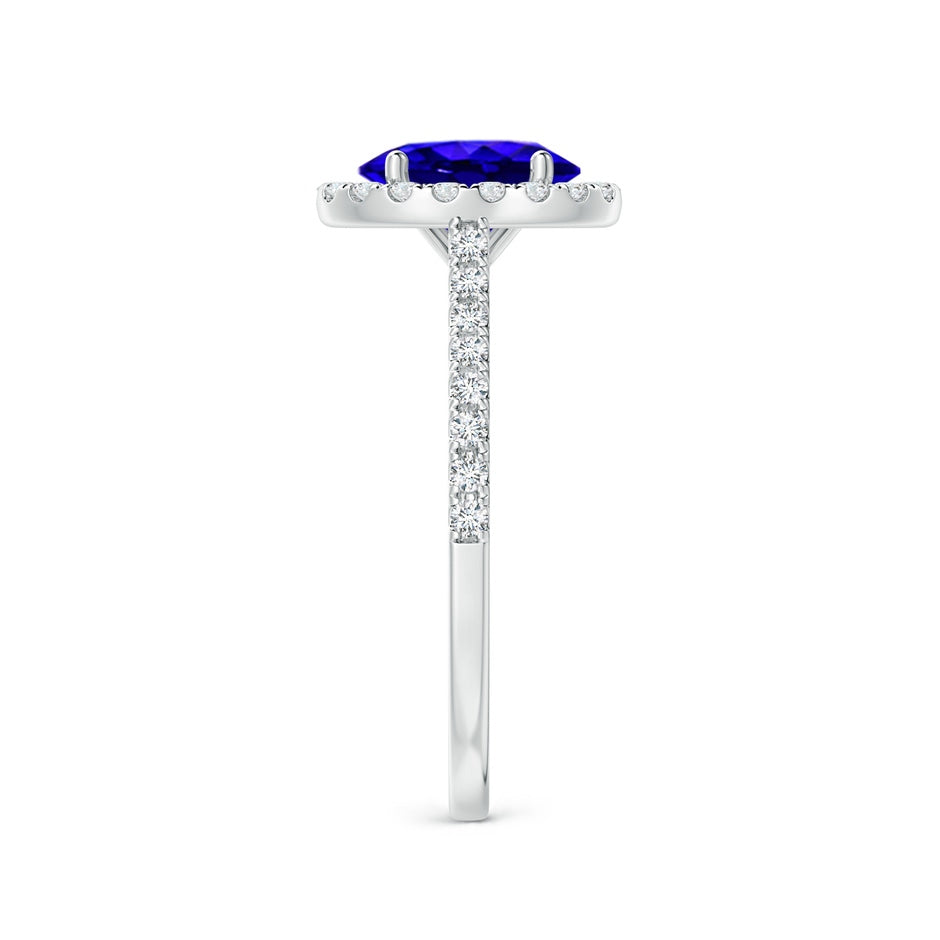 Tanzanite Halo Majesty Ring