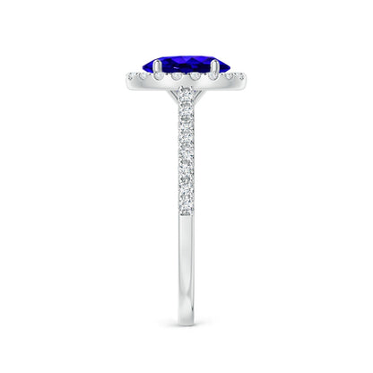 Tanzanite Halo Majesty Ring